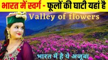 Valley Of Flowers -Tourist place India's Heaven on earth-Flowers Variety