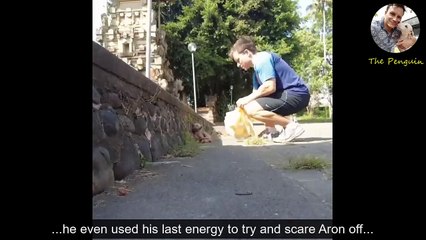 Abandoned Puppy Used His Last Ounce Of Energy To Try And Scare Me Off...