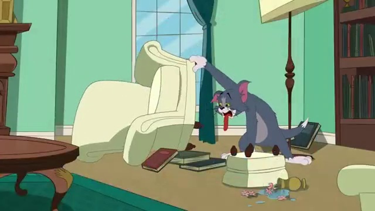 The Tom and Jerry Show Tom The Gym Cat Sohaif Group /USA /India vs