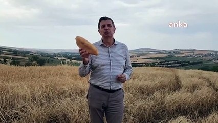 Gaytancıoğlu, ancien adjoint du CHP： TMO n'achète pas de blé, le soutien de la farine aux boulangers a été réduit