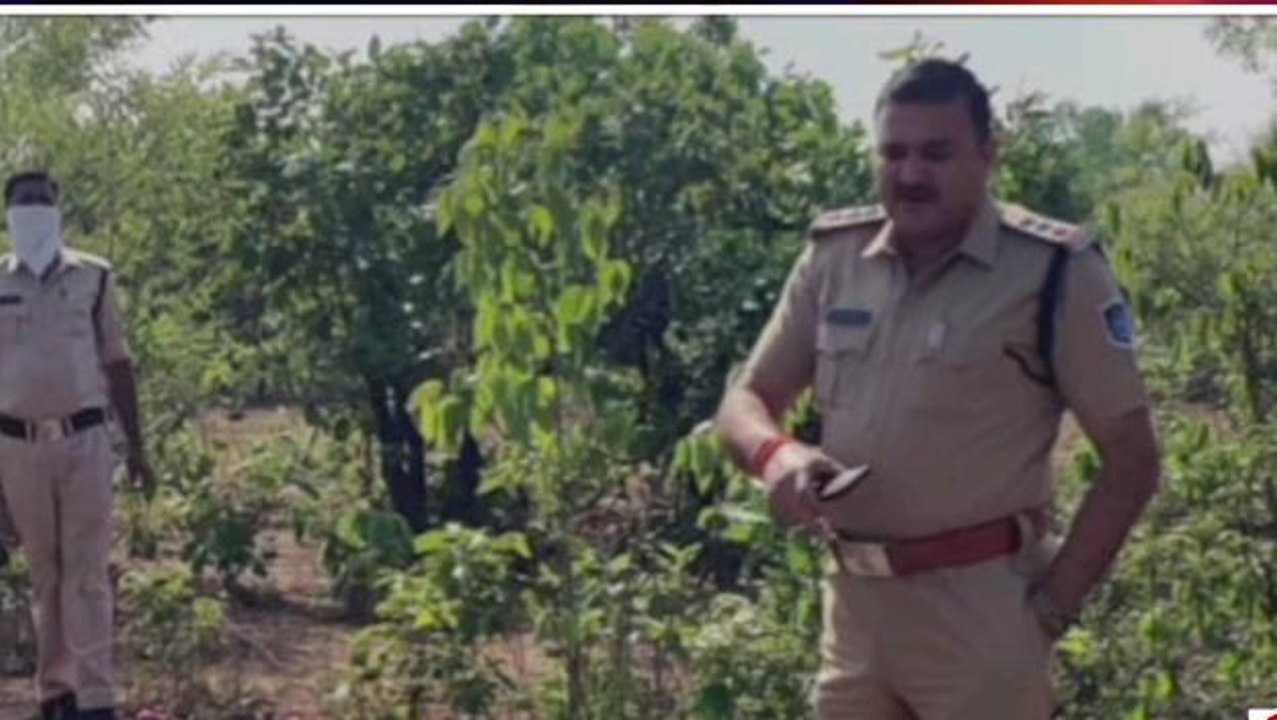 सनसनीखेज: जंगल में मिला नरकंकाल,मचा हड़कंप