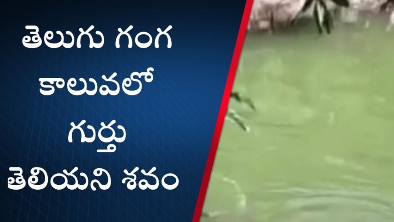 తిరుపతి జిల్లా: తెలుగు గంగ కాలువలో మృతదేహం కలకలం