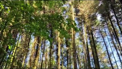 Ballyarnett Country Park and Amelia Earhart historic trans_Atlantic landing spot