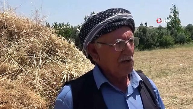 Avec le soutien de l'État, les terres inutilisées ont été transformées en agriculture. Le fermier de Şırnak a souri avec des lentilles.