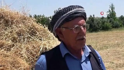 Avec le soutien de l'État, les terres inutilisées ont été transformées en agriculture. Le fermier de Şırnak a souri avec des lentilles.