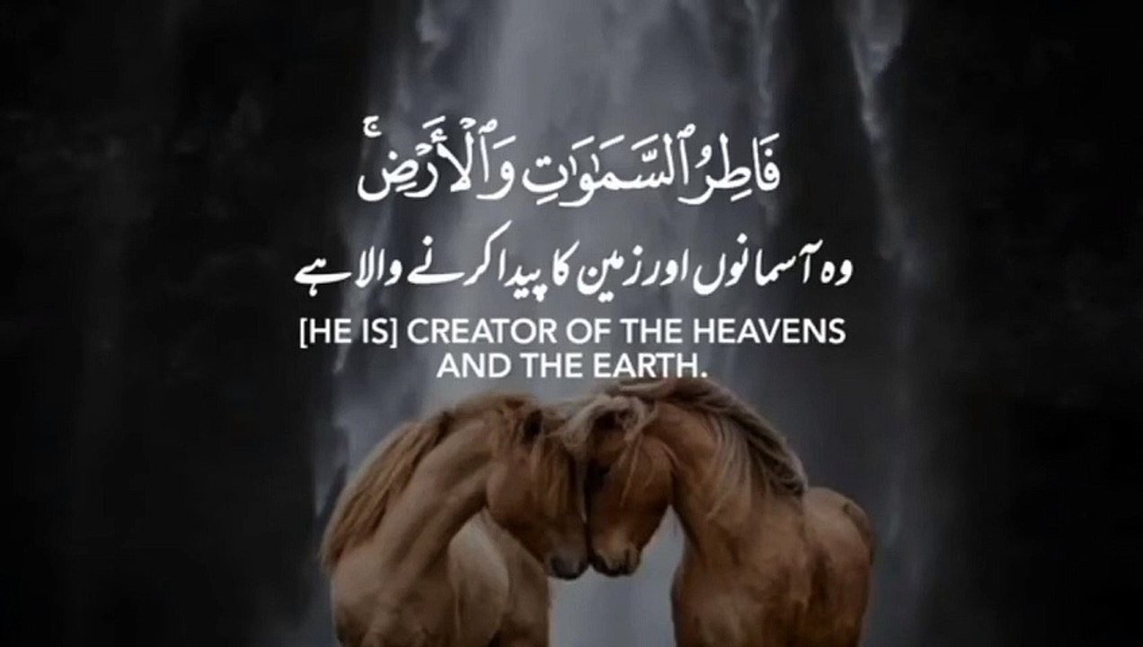 quran with urdu translation _Quran status_Quran urdu Status_Quraan Fm_Quran watt
