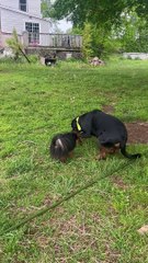 Biggest Fart From My Horse