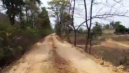 मिट्टी परिवहन करने के लिए वनभूमि में कर दिया सड़क का चौड़ीकरण