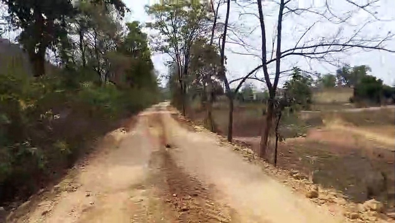 मिट्टी परिवहन करने के लिए वनभूमि में कर दिया सड़क का चौड़ीकरण