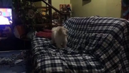 Playing with Mallows