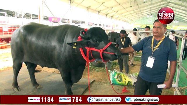 Rajasthan Kisan Mahotsav- मिलिए 9 करोड़ के युवराज और 11 लाख के शेरा से