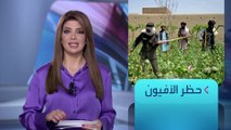 الساعة 60 | سبب تراجع زراعة الخشخاش في هلمند الأفغانية
