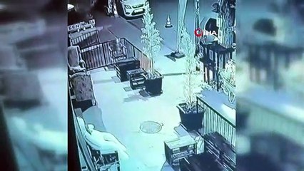 Un étrange vol dans la Capitale： C'est ainsi qu'il a volé l'ours en peluche devant la boutique