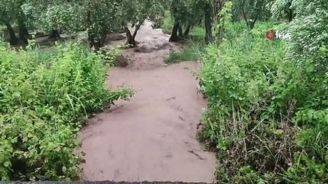 Bursa'nın Orhangazi ilçesi sele teslim oldu