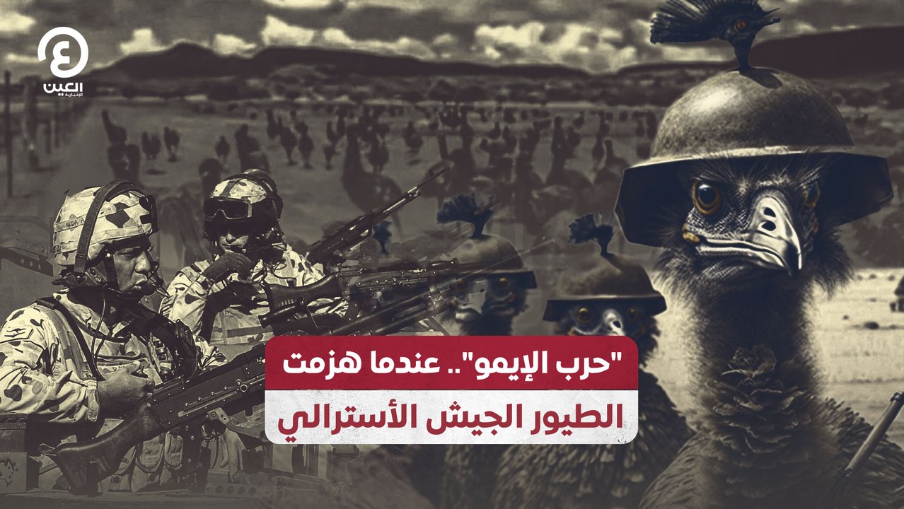 "حرب الإيمو" عندما هزمت الطيور الجيش الأسترالي