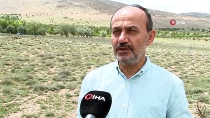 O anlar böyle kaydedildi | Yer yarıldı sel suyunu yuttu!