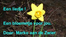 Liedje - Een bloemetje voor jou