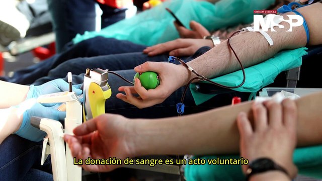 Día Mundial del Donante de Sangre: ¿Cuáles son los beneficios de donar sangre?