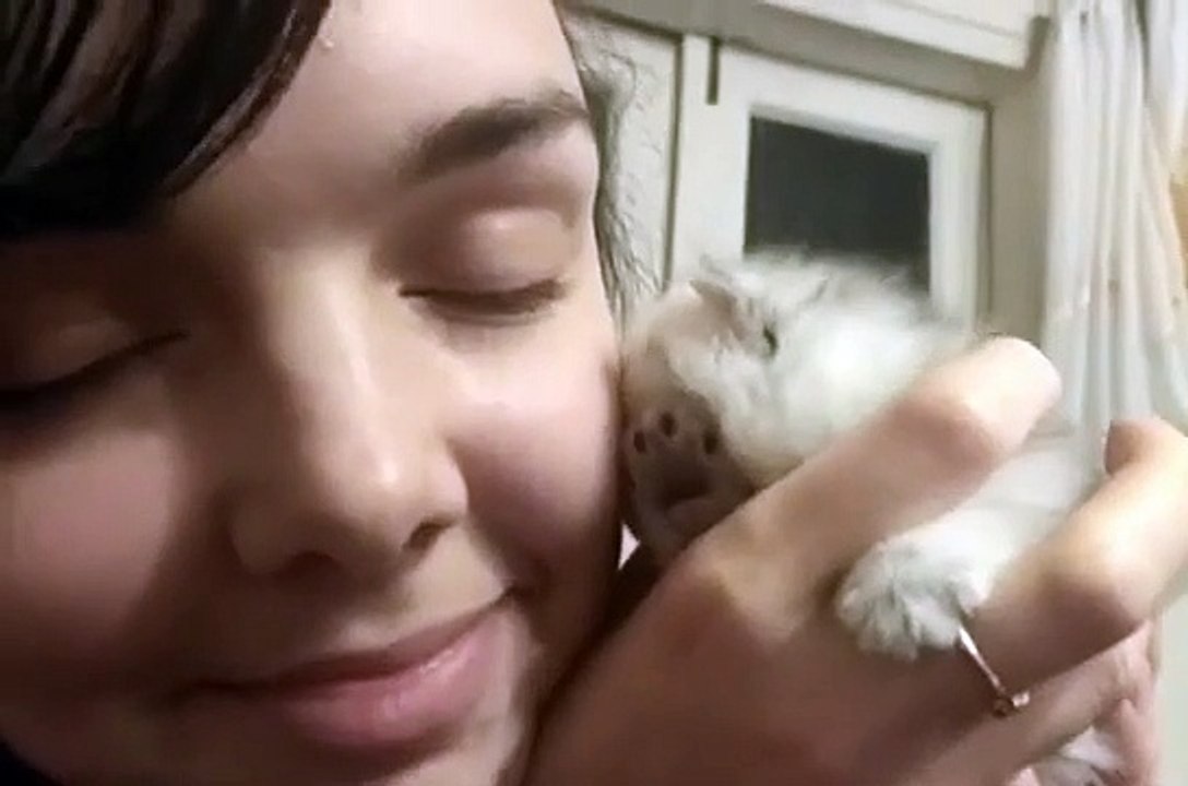 HELP!! The Little Kitty Wants To Eat Me!