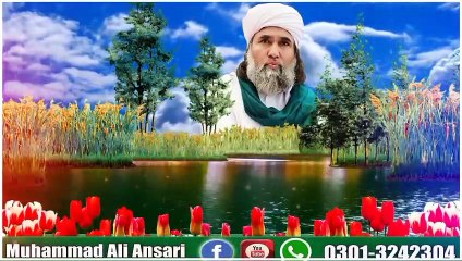 Peer Dilbar Sain Madani مرنا مرنا ہر کوئی آکھے