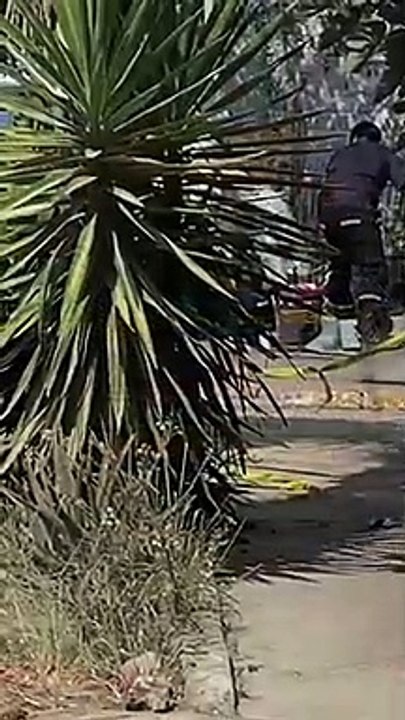 Recibió brutal golpiza; hallan muerto hombre en situación de calle