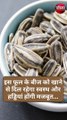 इस फूल के बीज को खाने से दिल रहेगा स्वस्थ और हड्डियां होंगी मजबूत...