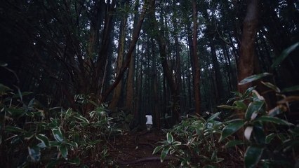 EXO 엑소 'Let Me In' MV