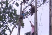 Repairs begin in India after Cyclone Biparjoy