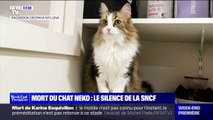 Cinq mois après la mort du chat Neko, la SNCF devant la justice lundi