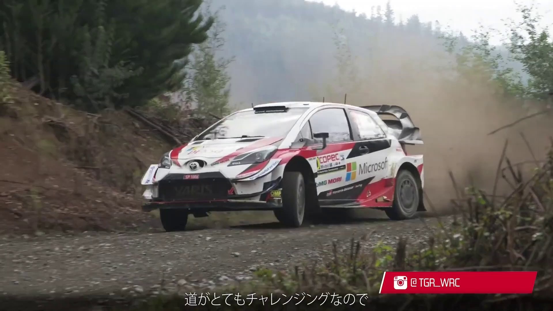 ビデオ スポーツカー ラリー 選手権 まとめ WRC 2024 Rd.6 RALLY ITALIA SARDEGNA | ラリー・イタリア