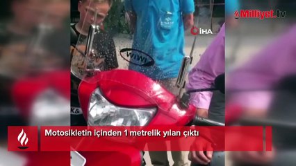 Motosikletin içinden 1 metrelik yılan çıktı