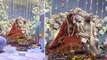 Karan Deol Drisha Acharya Wedding Saat phere Full Video Viral | Boldsky