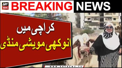 First Female Maweshi Mandi in Karachi