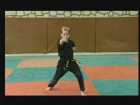 Coups de pied acrobatiques