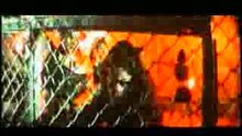 Dishoom-Daylamo