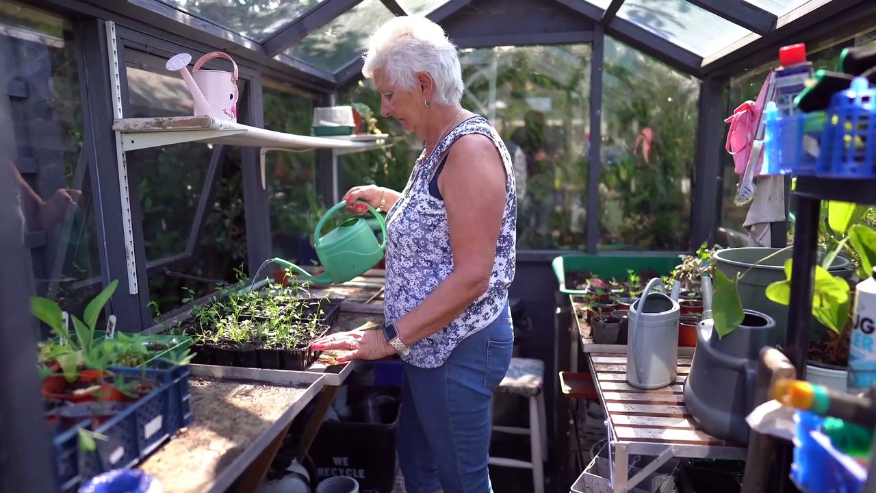 Savvy gran turns overgrown garden into oasis on a budget