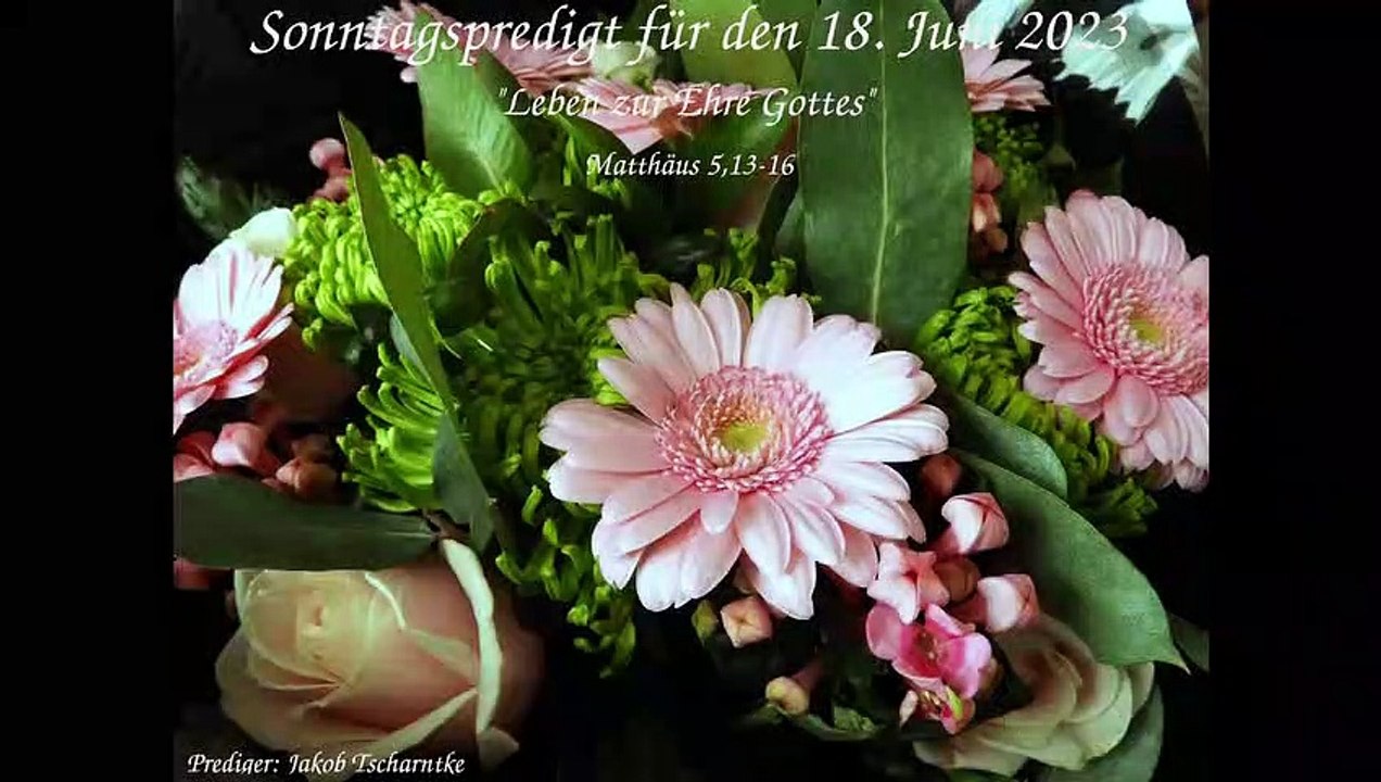 Sonntagspredigt für den 18. Juni 2023