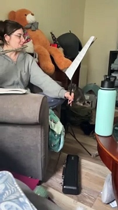 What It's Like to Play the Flute When You Have Cats