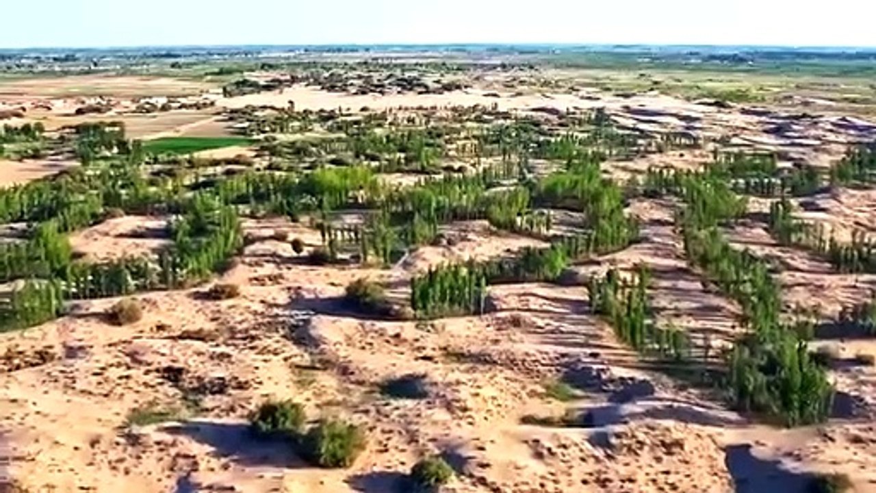 La désertification et le sablage sont en baisse en Mongolie intérieure en Chine
