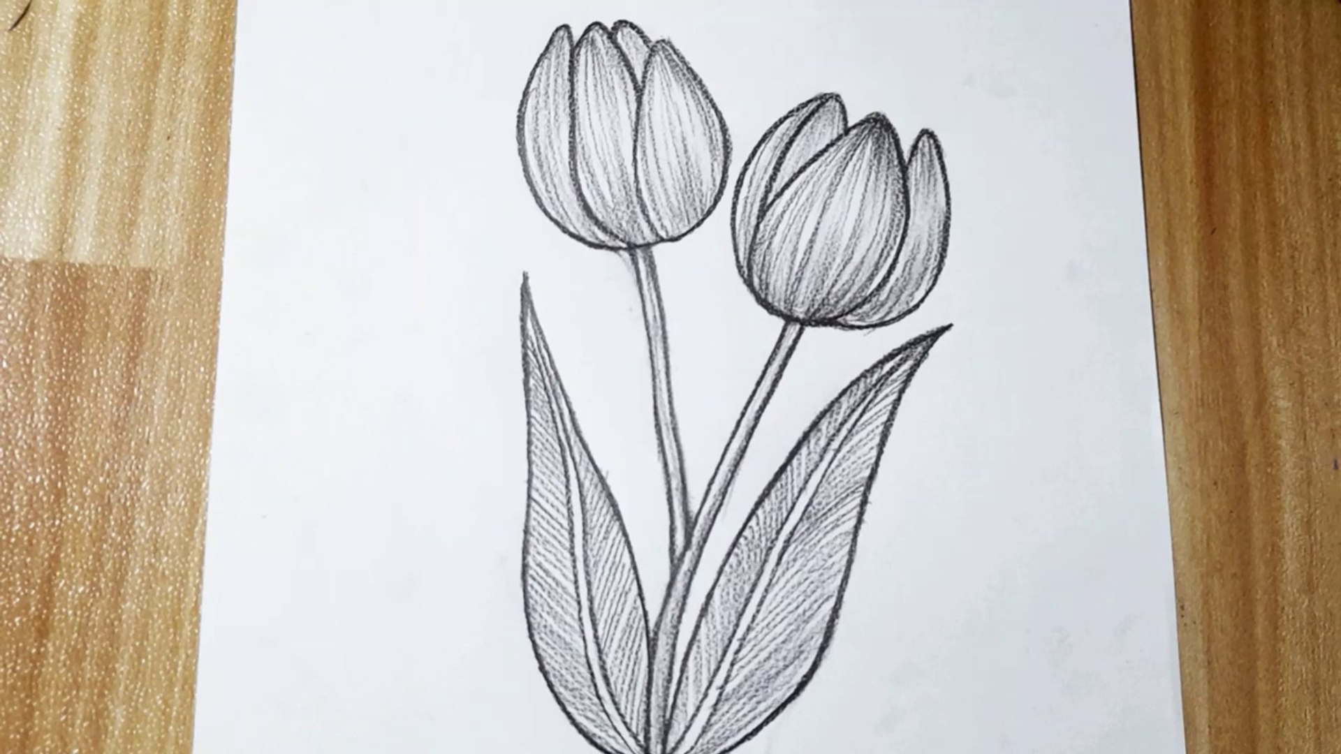 How to draw a Flower Step by Step || Easy drawing for beginners, image size:1920x1080