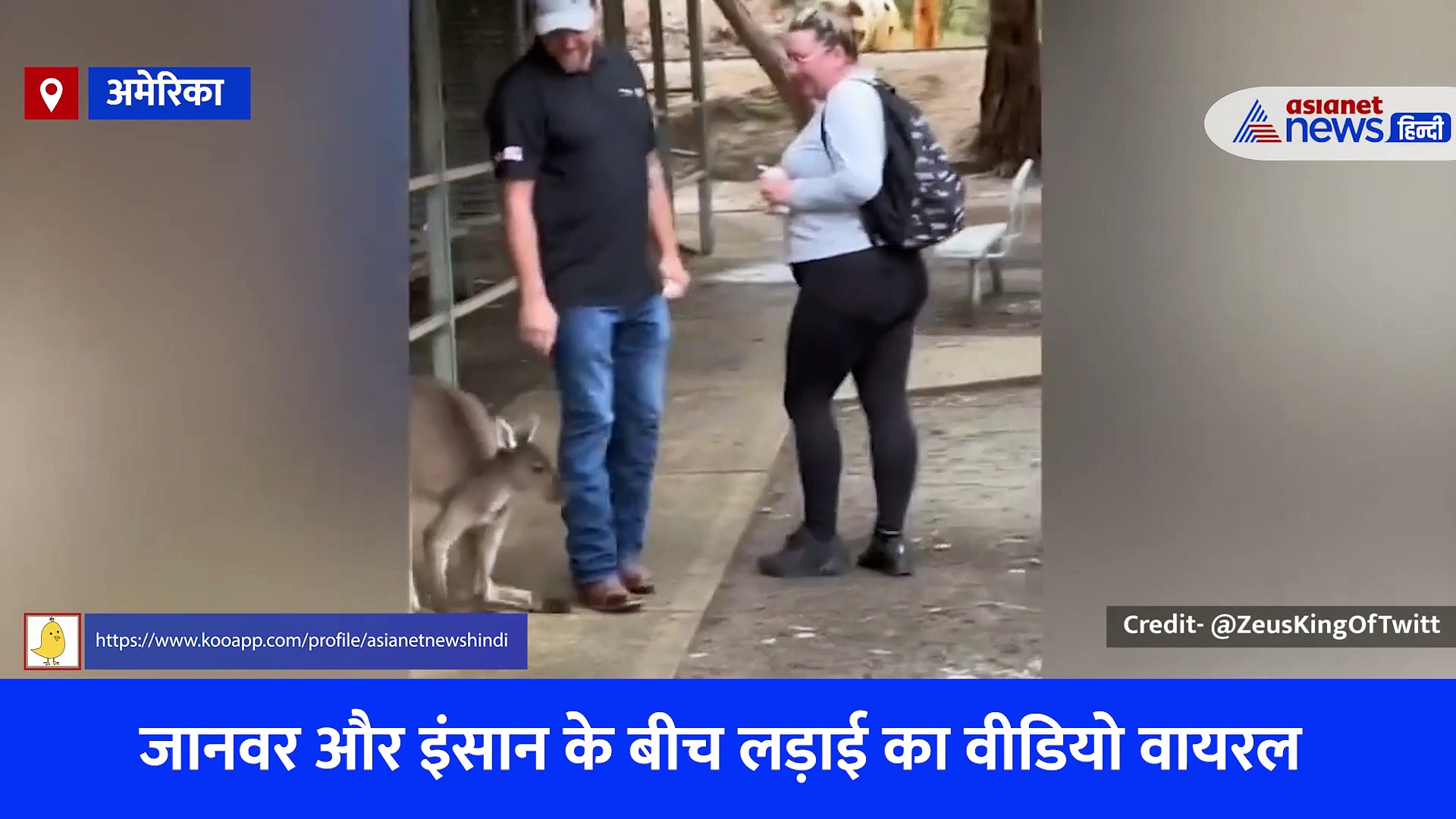 कंगारू ने उछल-उछलकर टूरिस्ट के साथ की लड़ाई, थप्पड़ों से बचने के लिए इंसान ने ऐसा लगाया जुगाड़, देखें Video