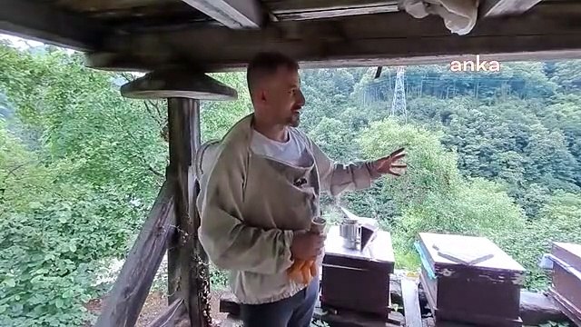 Apiculteurs producteurs de miel de châtaignier à Artvin Borcka： ＂L'apiculture a commencé des problèmes en raison d'un cancer des branches qui a commencé dans les châtaigniers＂