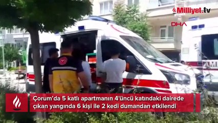 Çorum'da korkutan yangın! 6 kişi ve 2 kedi dumandan etkilendi, 1 kedi yaralı