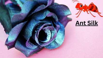 Ants Silk And its Uses