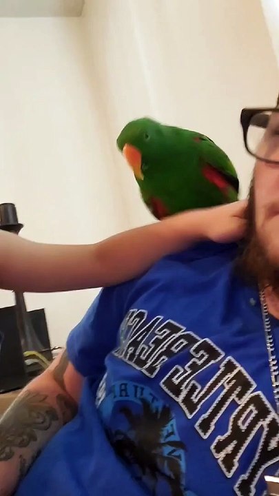 Boy and Parrot Have an Adorable Bond