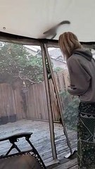 Toe Beans Poked From Under Gazebo