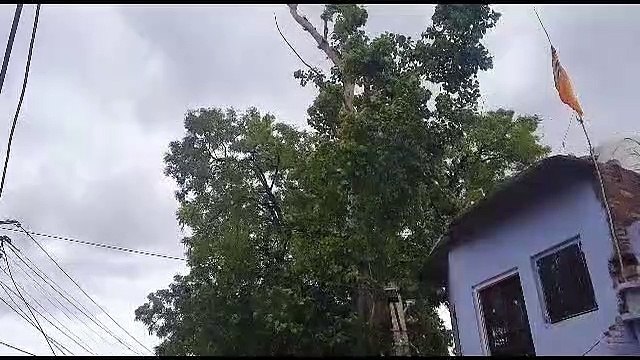 बिपरजॉय तूफान: बादलों ने डाला डेरा, दिनभर चली हवा