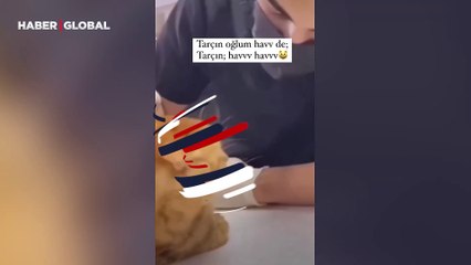 Veterinerin kediye havlamayı öğrettiği anlar kahkahaya boğdu: Miyavlamayı unuttu...