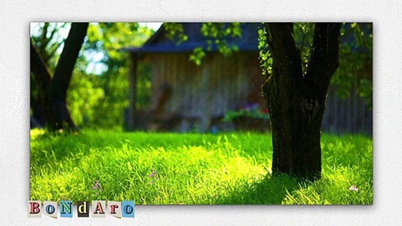 Kurzgeschichte Freundschaft 02052k23