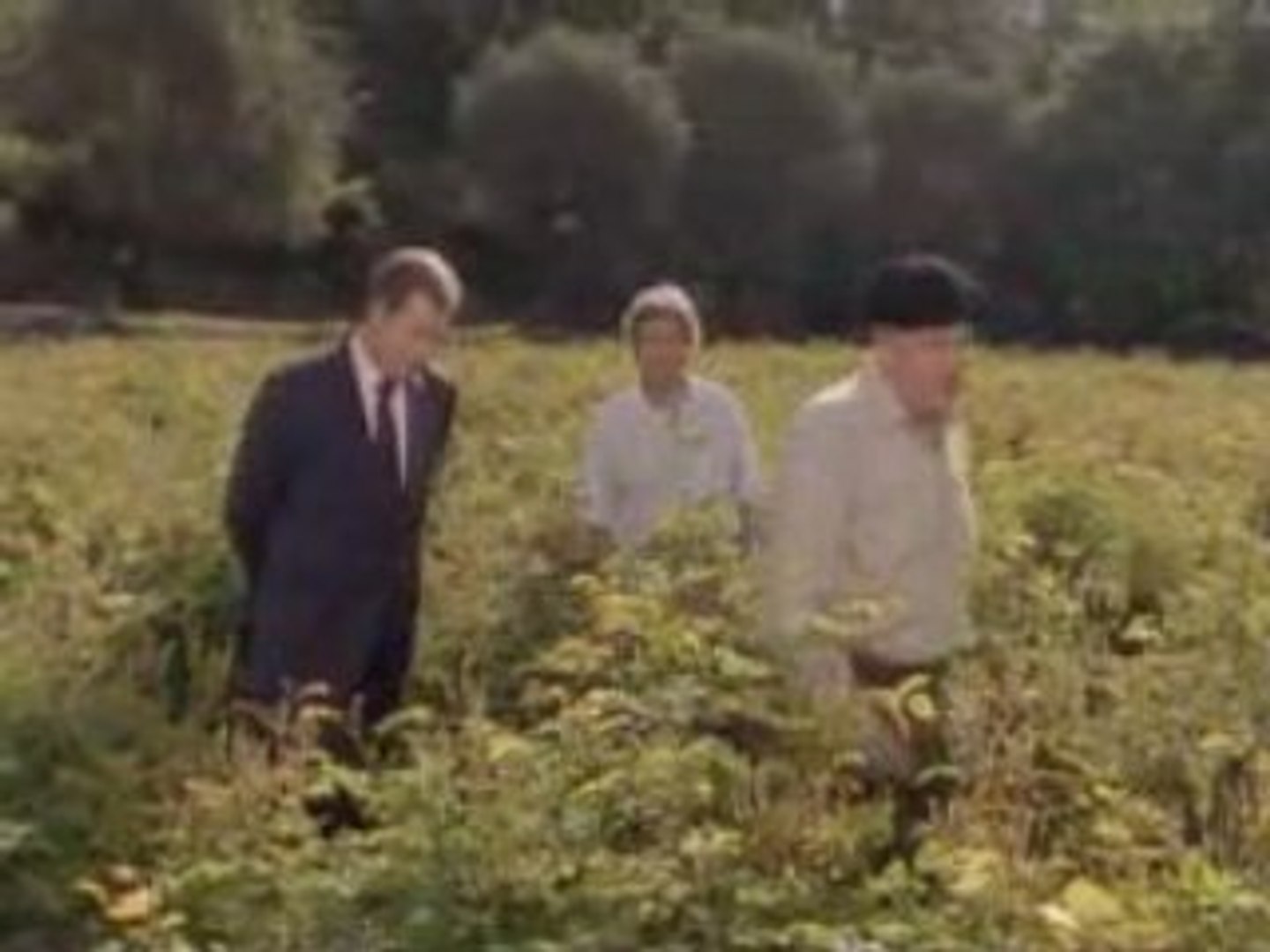 Dans Un Grand Vent De Fleurs Episode 1 Dans un grand vent de fleurs : episode 2 - Vidéo Dailymotion